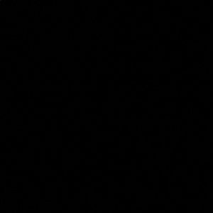 Meet your Posher, Josie